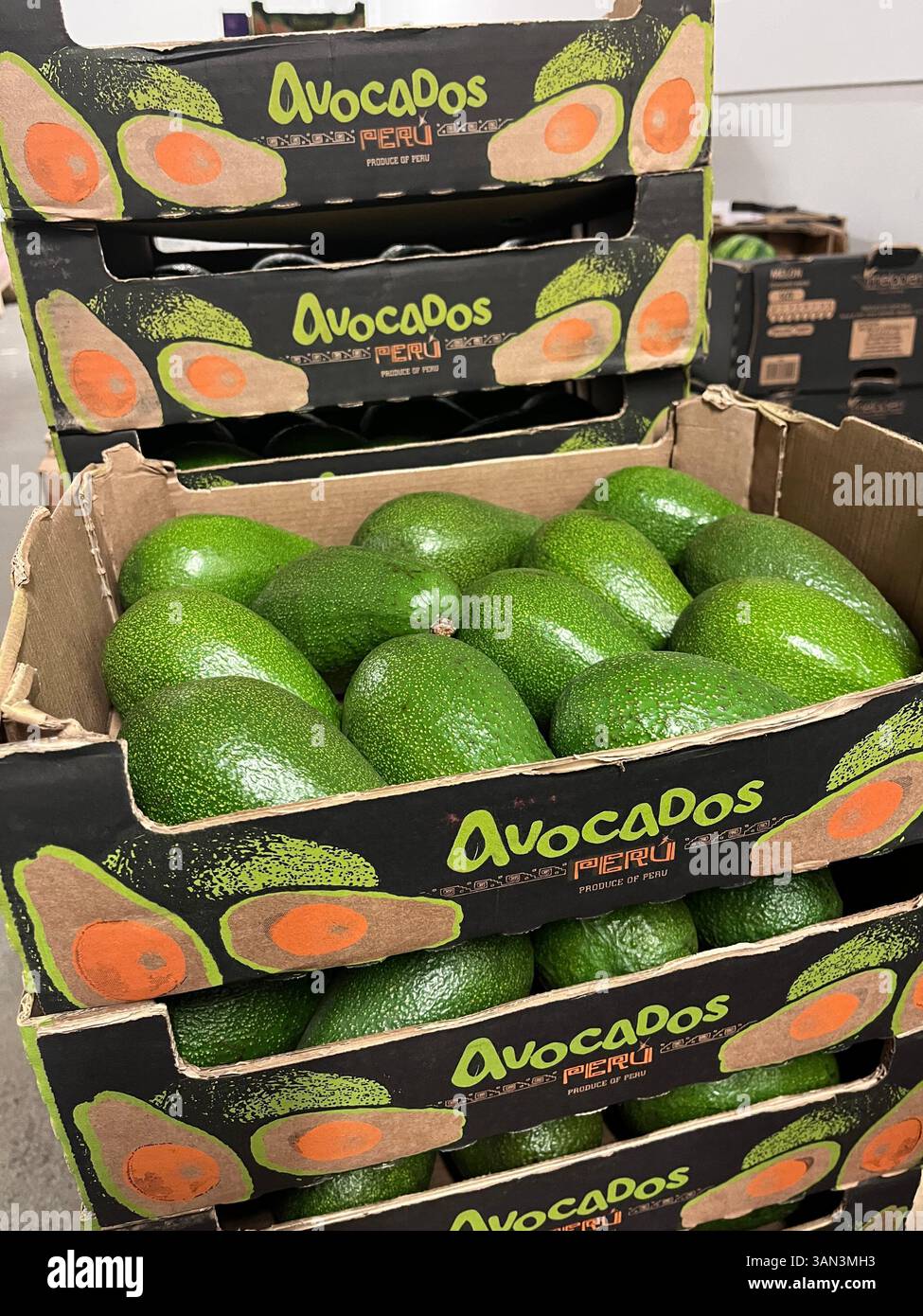 Stack of cardboard crates with fresh avocados from Peru, ready for distribution at a wholesale produce market, fruit export, logistics, food supply - Smartphone Captured Stock Image