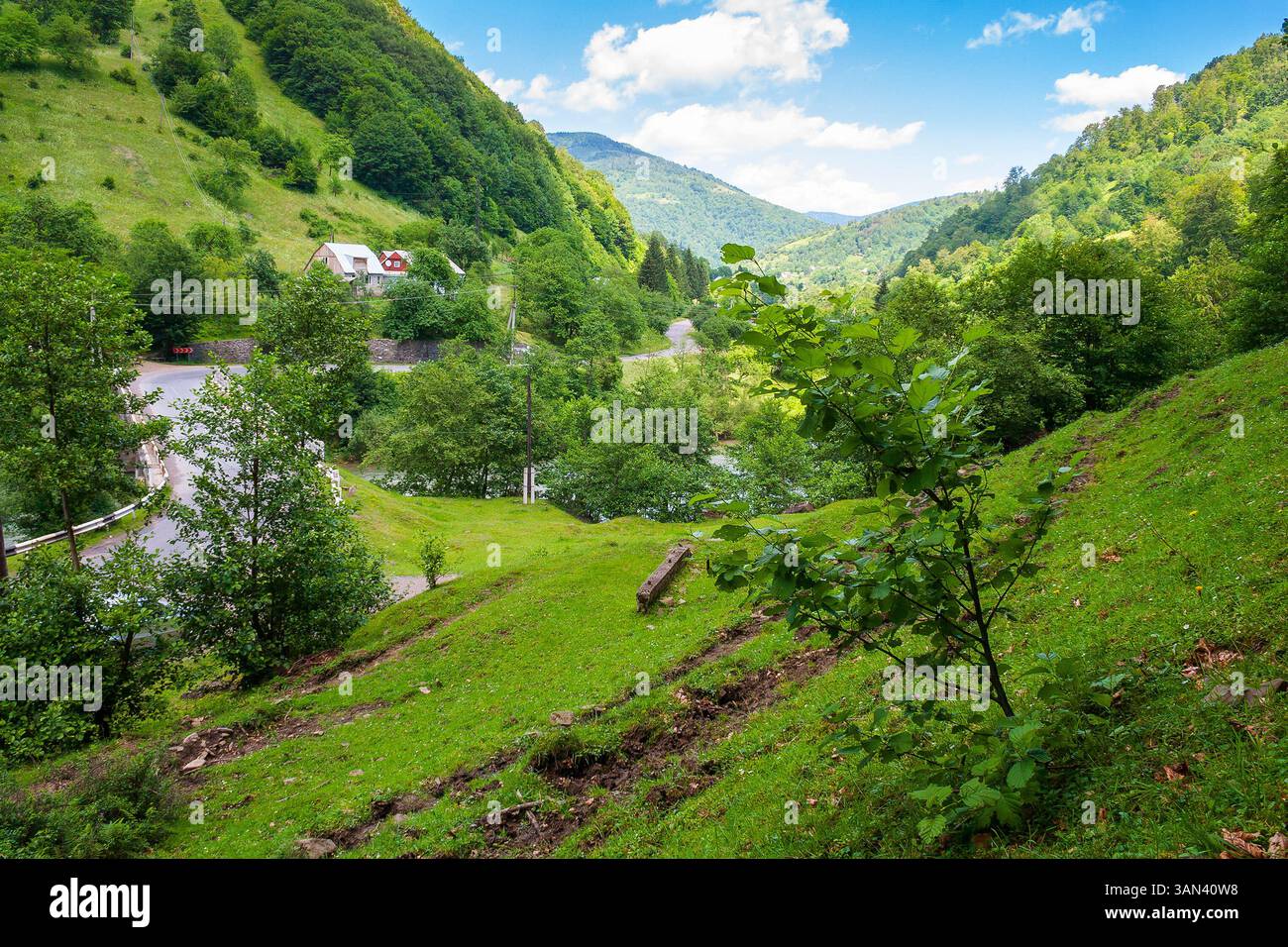rural landscape of carpathian mountains in summer. afternoon weather. countryside scenery with steep forested slopes. road winding through village amo Stock Photo