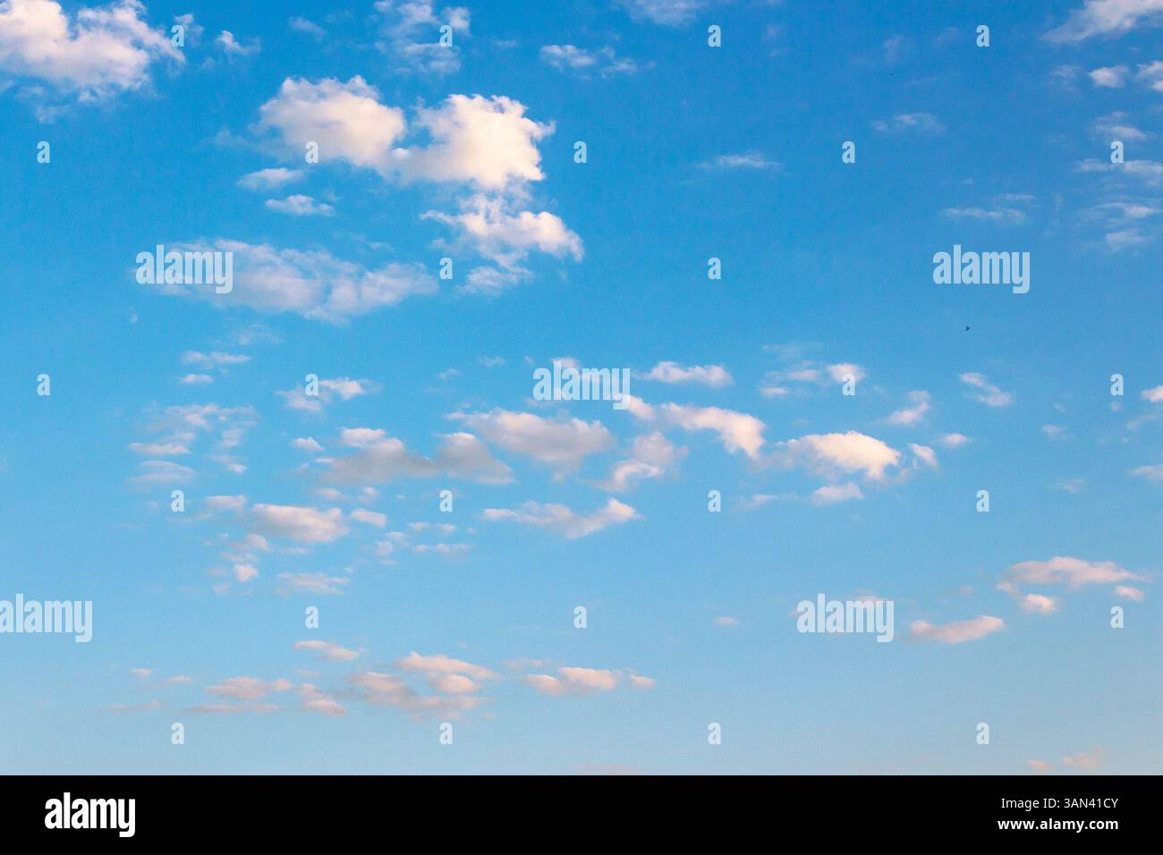 blue sky with many clouds on a sunny august morning. fluffy formations in bright weather. dynamic arrangement in the air. blue nature backdrop in morn Stock Photo