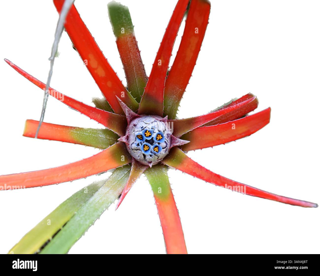 Nature inspired gardening hi-res stock photography and images - Alamy