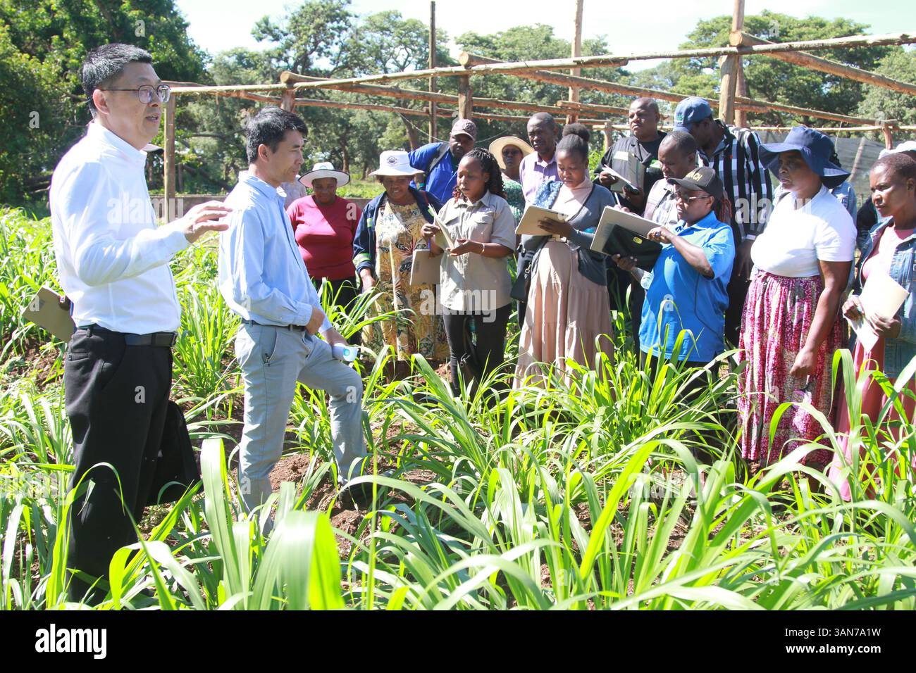 Mashonaland West Province, Zimbabwe. 14th Apr, 2025. People attend a ...