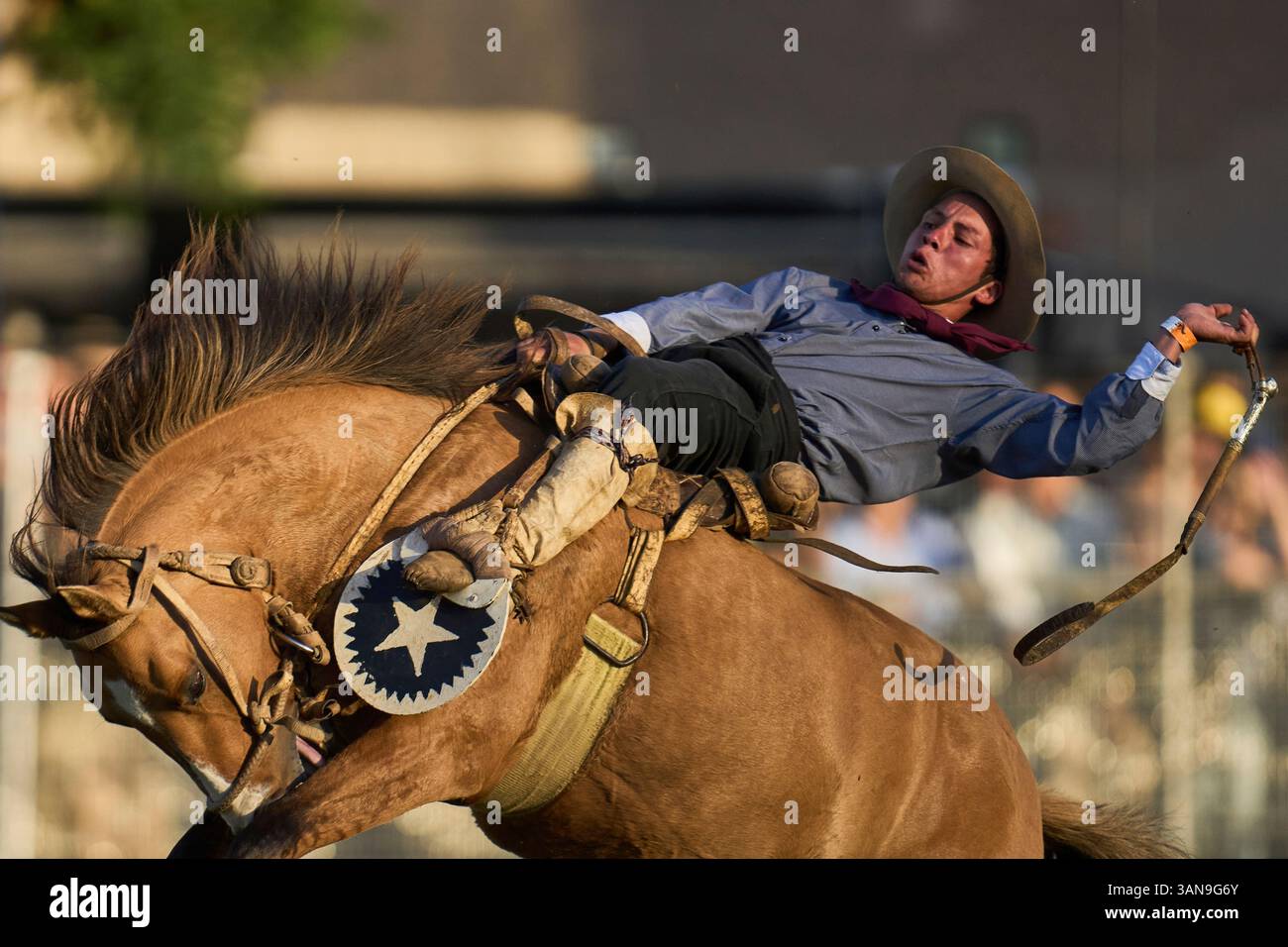 A gaucho, or South American cowboy, rides a horse during the Criolla ...