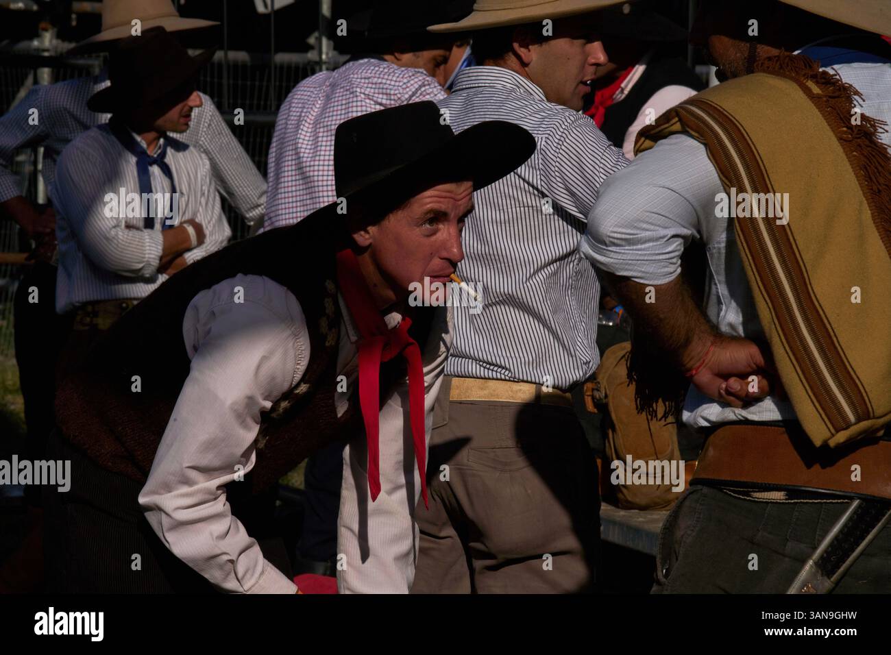 Gauchos, or South American cowboys, prepare to ride horses during the ...