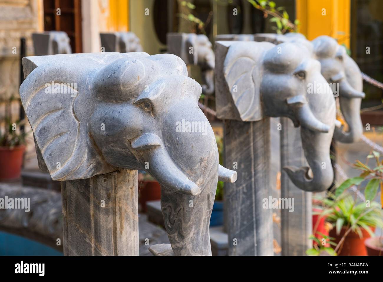 Elephant decorations Bagore Ki Haveli museum Udaipur Rajasthan India ...