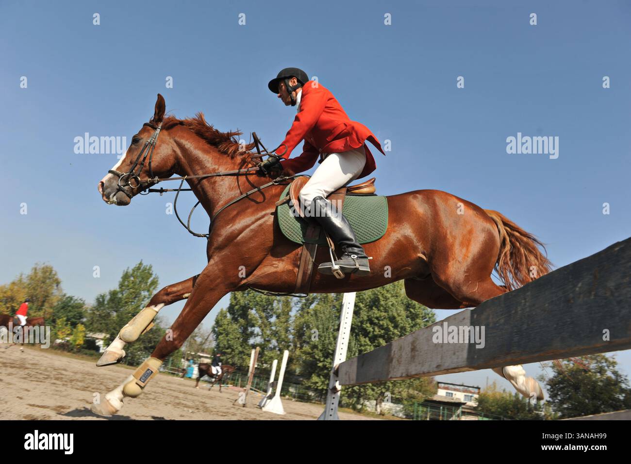 Jumping competition. Athletes and their horses train on a platform with ...