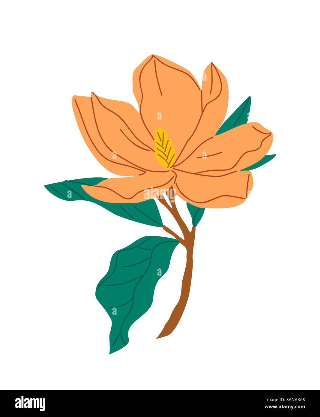 Magnolia flower spring blossom vector art isolated Stock Vector Image ...