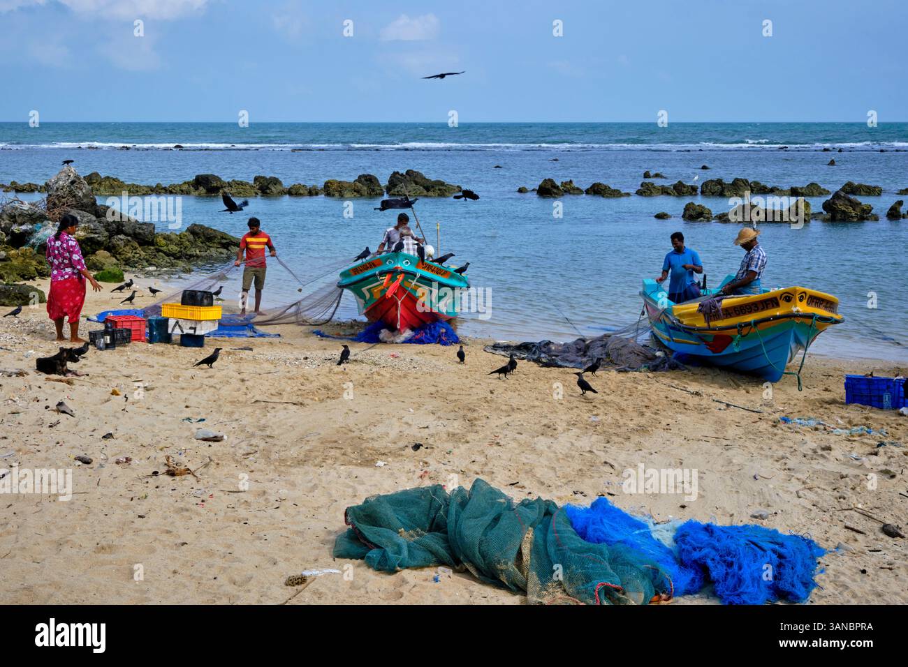 Sri Lanka, Northern Province, Jaffna, Point Pedro Town, return from fishing Stock Photo