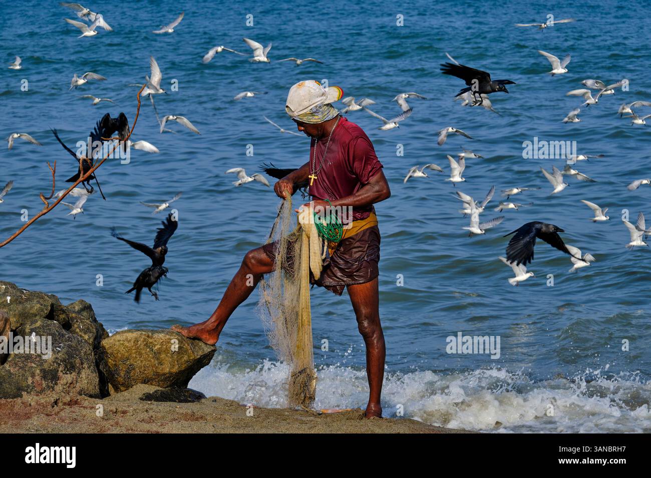 Sri Lanka, Western Province, Gampaha District, Negombo, fishing village, fisherman with his net Stock Photo
