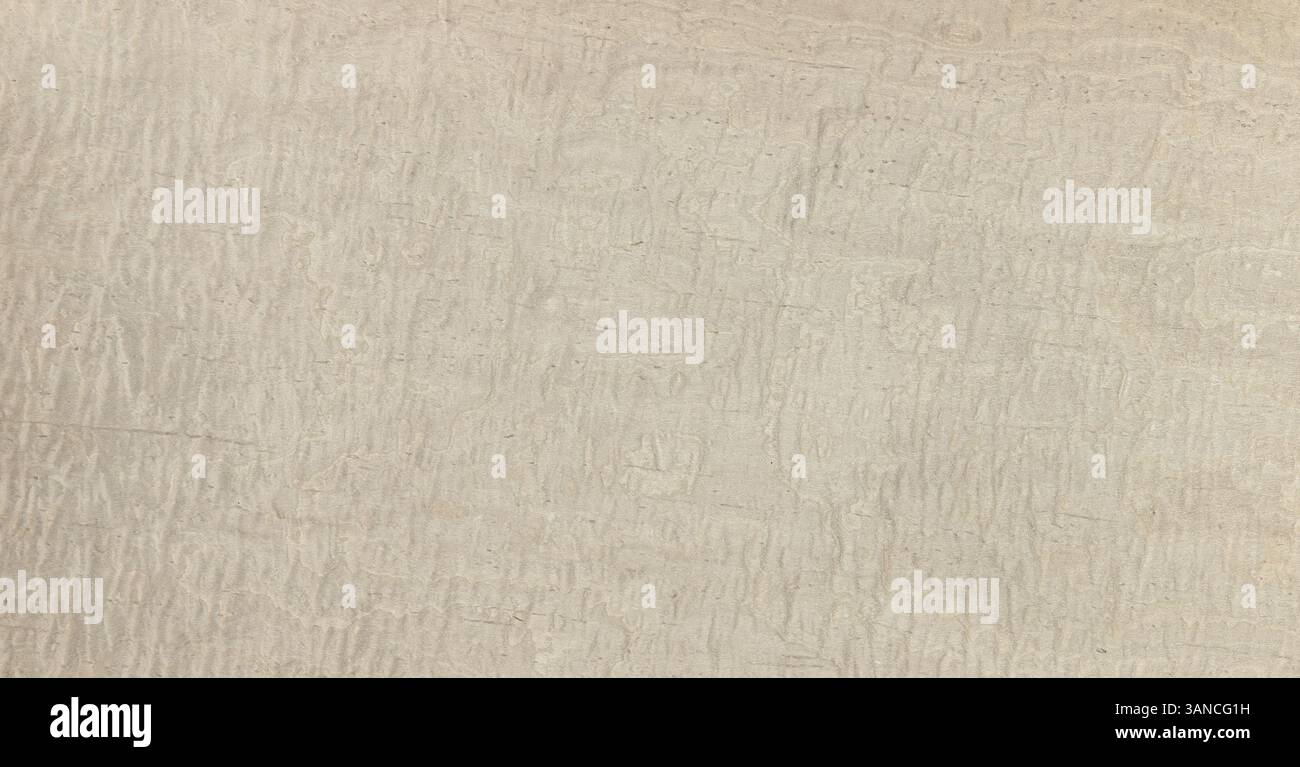maple frise Light brown textured background Stock Photo