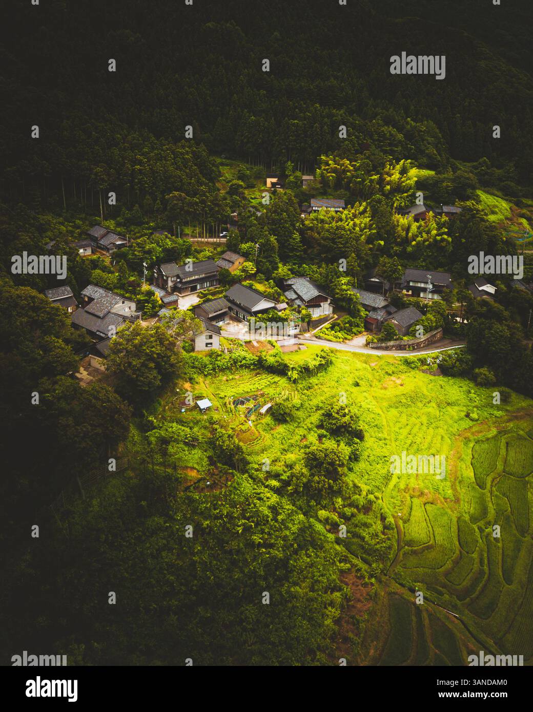 Aerial view of Shiroyone Senmaida Rice Terrace, a rice field near Wajima Shi, Ishikawa, Japan.. Stock Photo