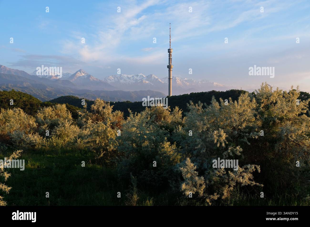 Kok Tobe TV tower, located on a high hill with trees above the city of ...
