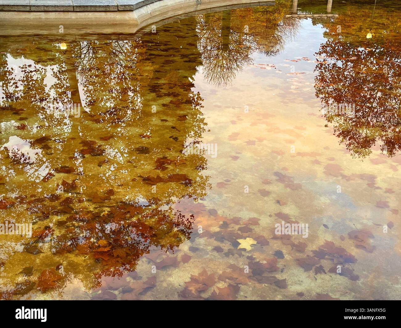 Reflections on water. Stock Photo