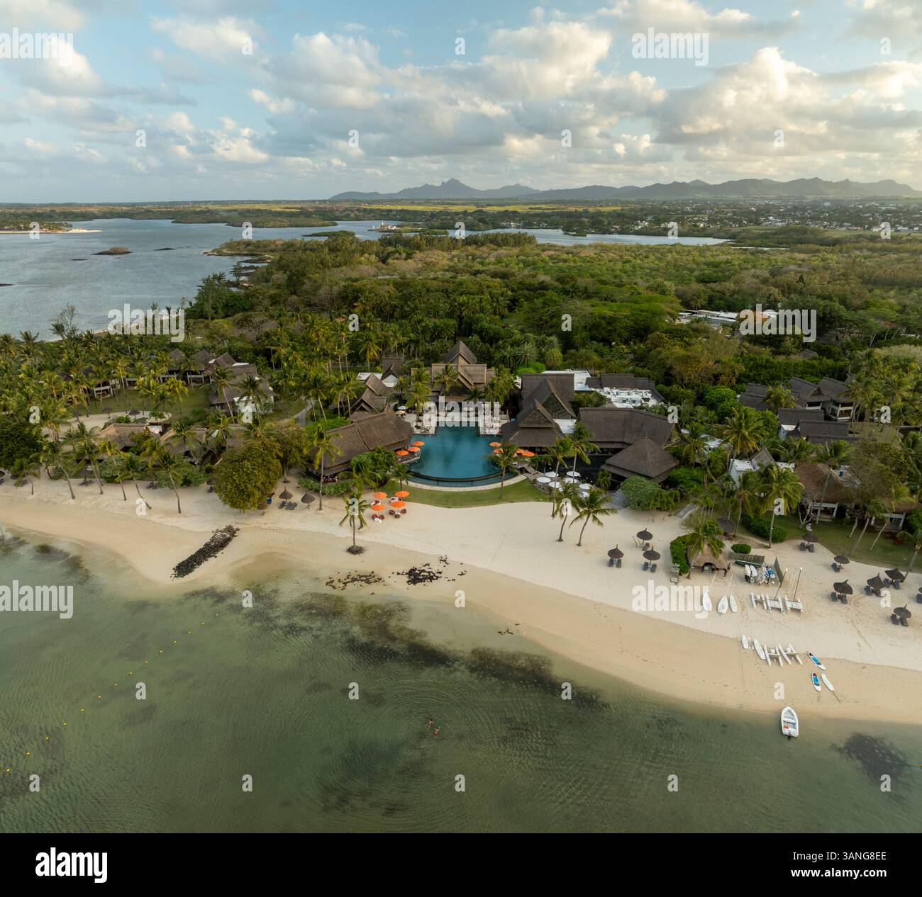 Aerial view of tropical paradise beach with white sand, palm trees, and ...