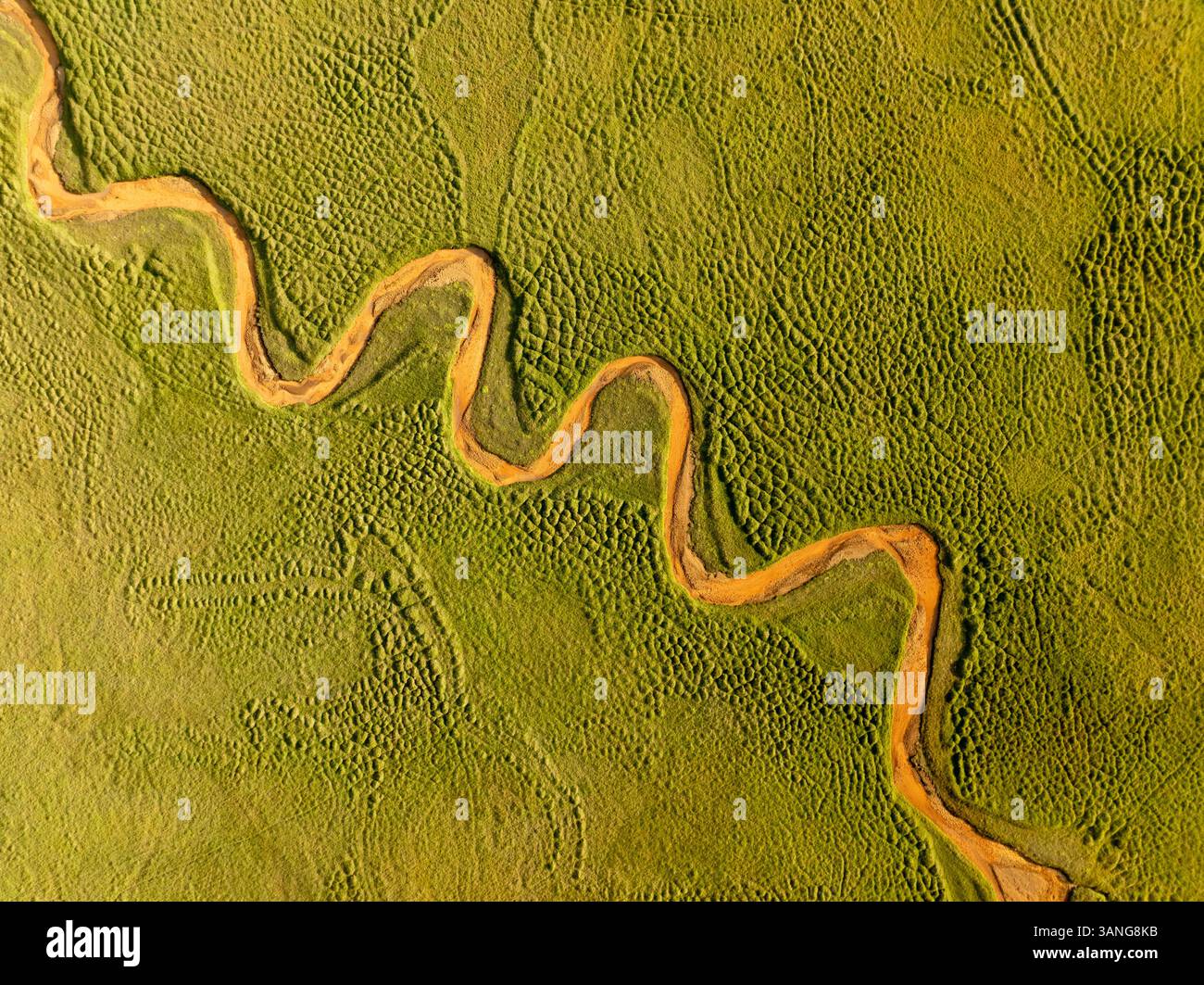 Aerial view of a beautiful serpentine yellow river with unusual ...