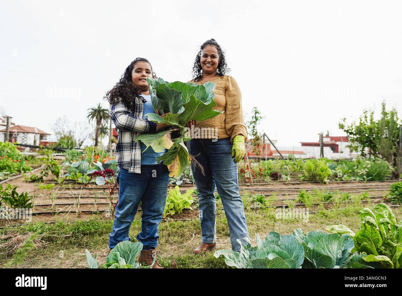 Indian mother and son collecting organic vegetables at home garden ...