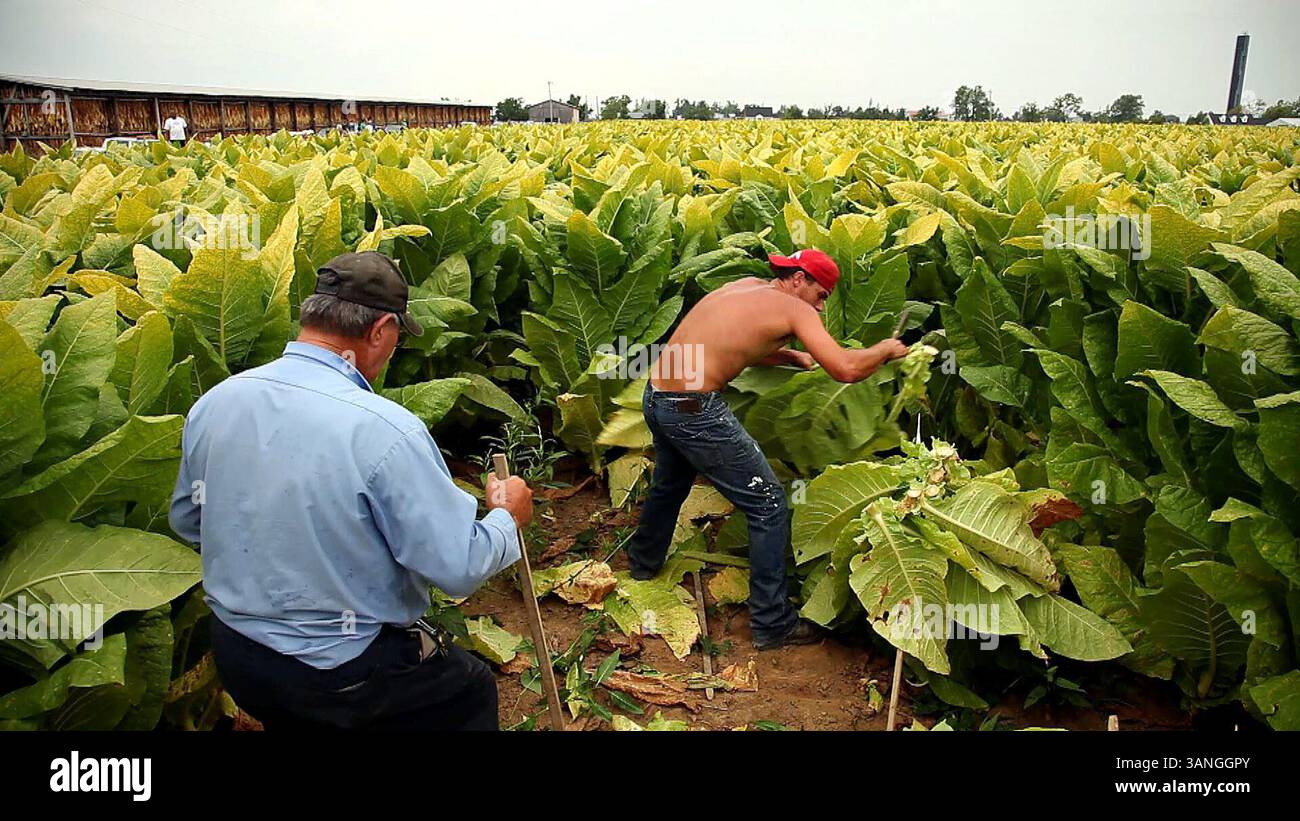 who originally sang tobacco road John D. Loudermilk who originally sang tobacco road John D. Loudermilk