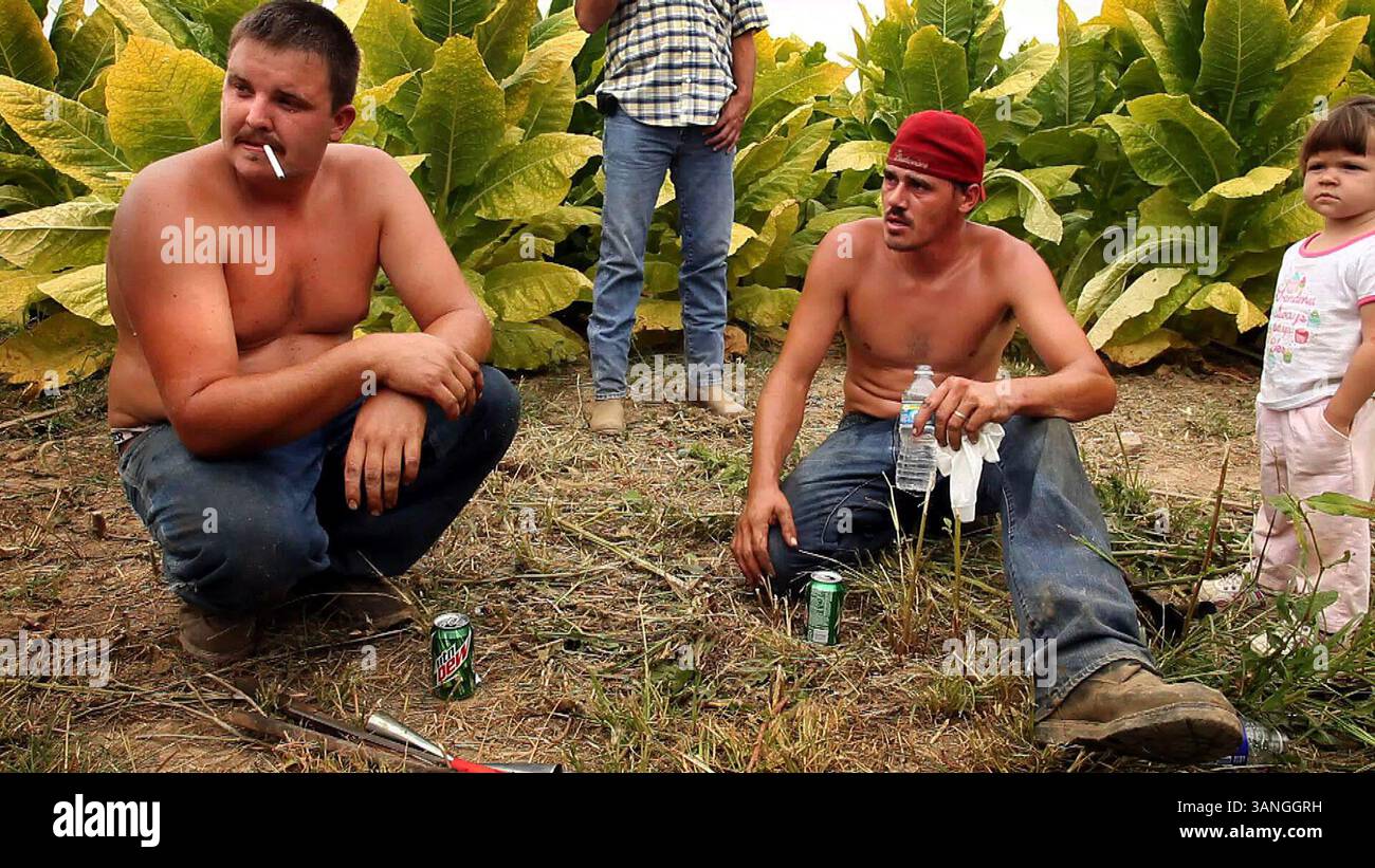 garrard county tobacco cutting contest Tobacco auction house in hi-res stock photography and images