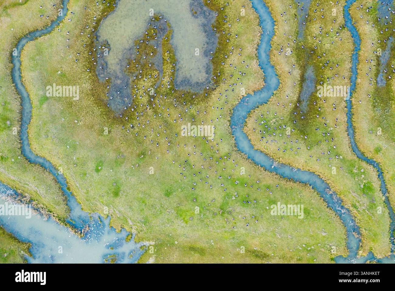 Birds eye view scheldt hi-res stock photography and images - Alamy
