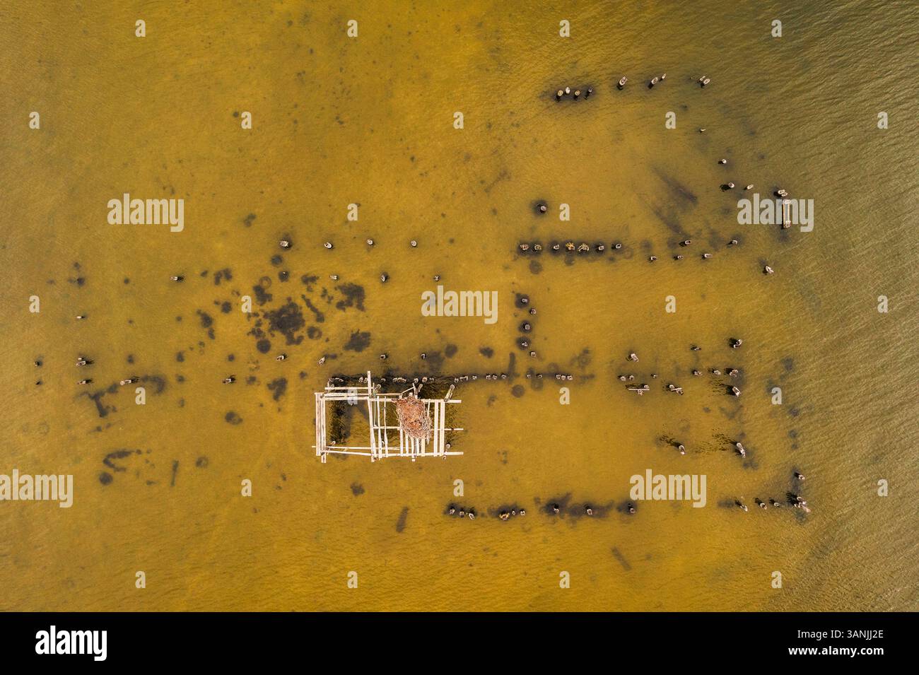 Aerial view of the construction of a pier and dock in Indian River Lagoon, Malabar, Florida, United States. Stock Photo