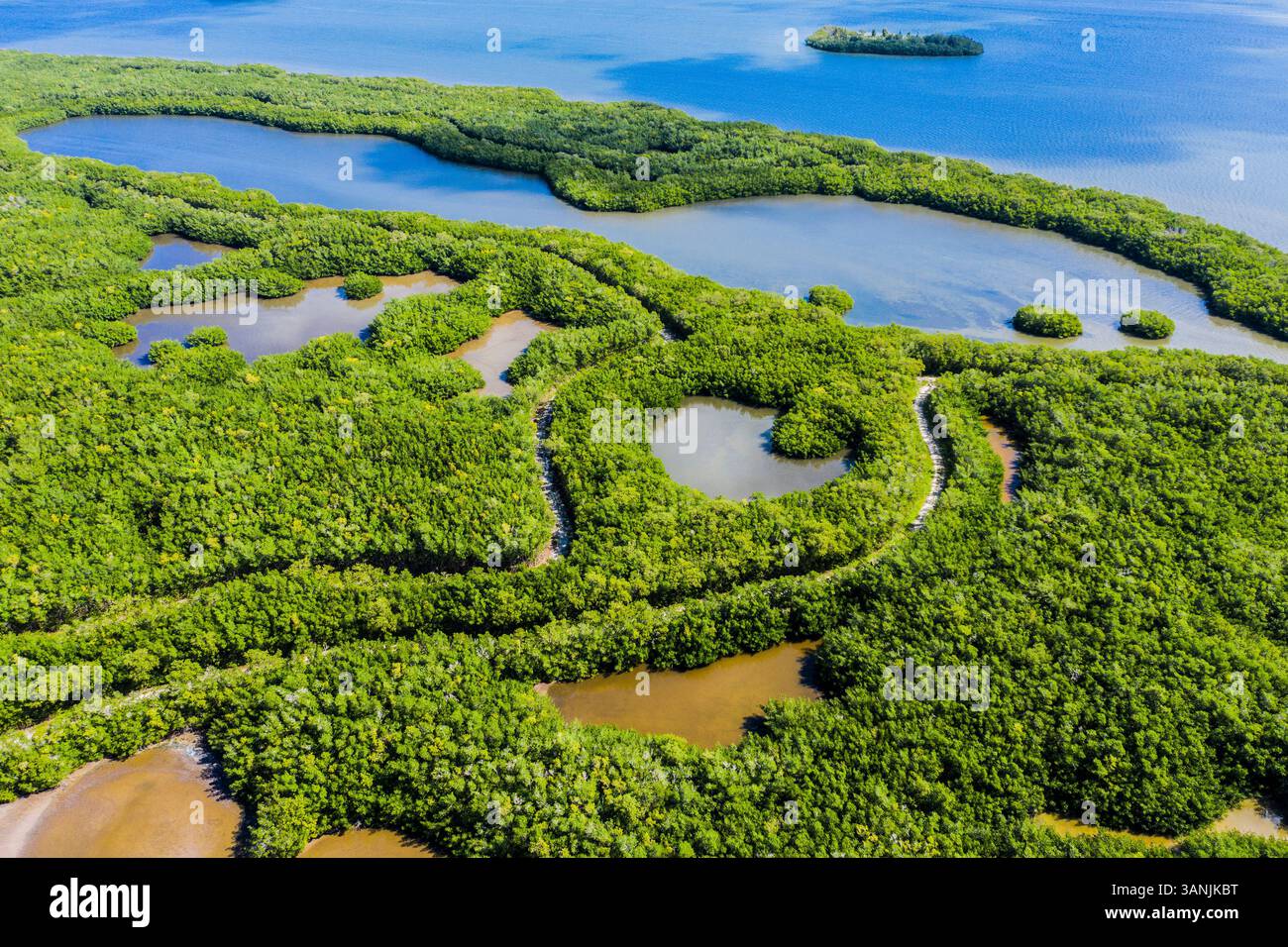 Aerial view of Mangroves at Oslo Riverfront conservation area, Indian river lagoon, Vero Beach, Florida, United States. Stock Photo