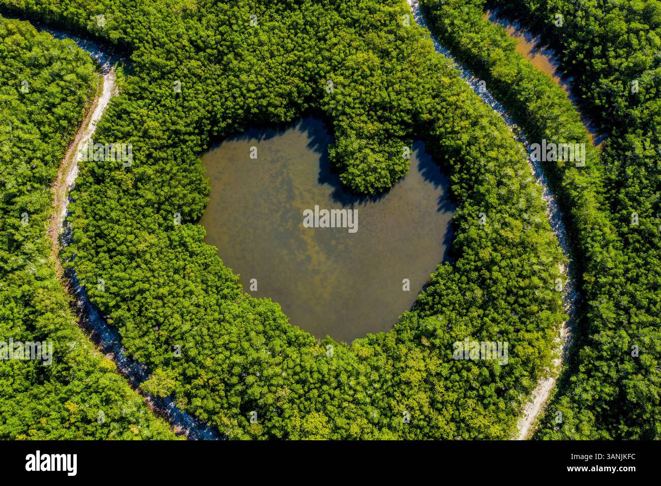 Aerial view of Mangroves at Oslo Riverfront conservation area, Indian river lagoon, Vero Beach, Florida, United States. Stock Photo