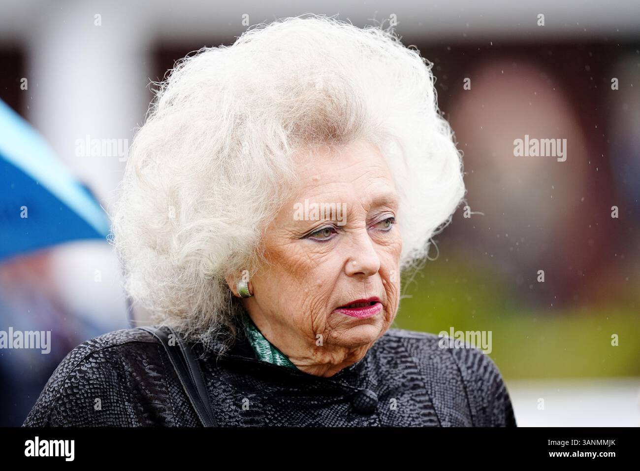 swedish-businesswoman-kirsten-rausing-at-newmarket-racecourse-picture
