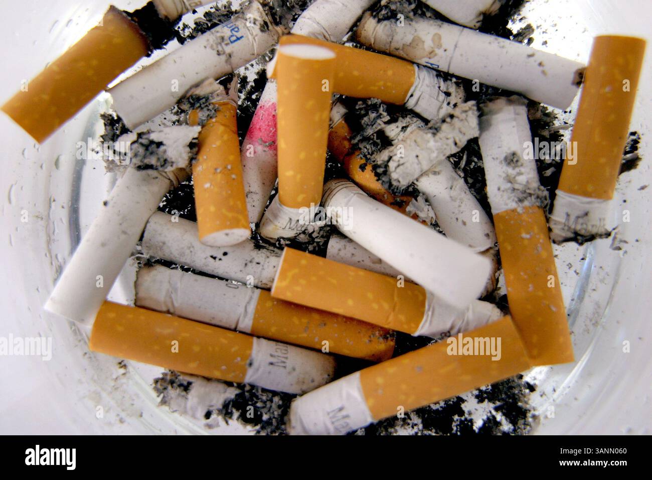 jti ld cigarettes LD CIGARETTES — an ngo