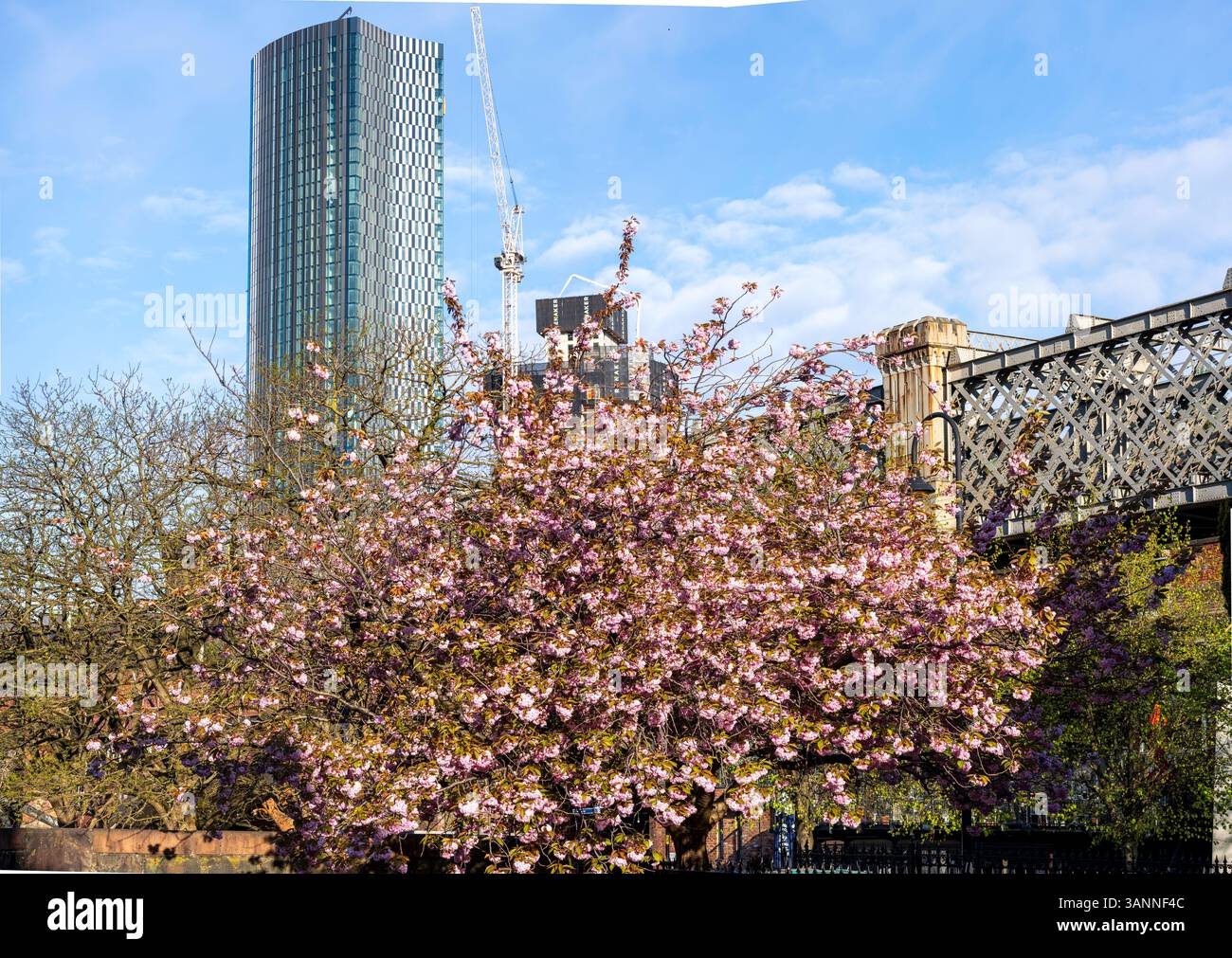 Image of Viaduct in Castlefield, manchester. Stock Photo