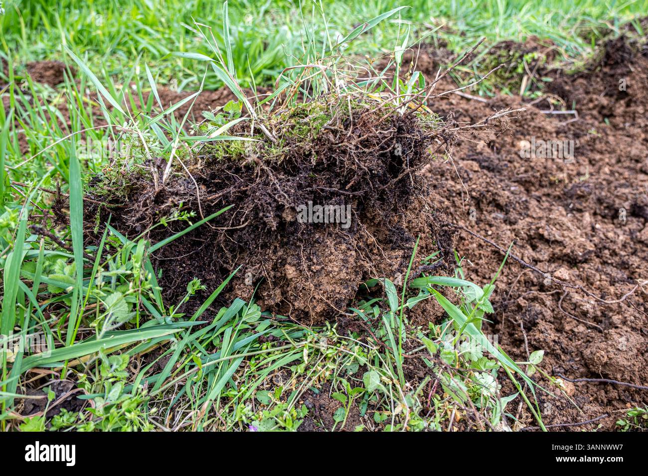 SUOLO AGRARIO Stock Photo