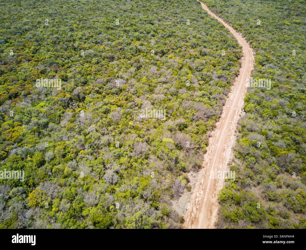 Birds eye view empty road hi-res stock photography and images - Alamy