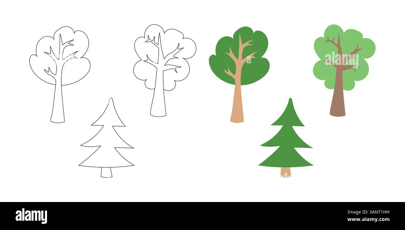 Canopy tall oak tree Stock Vector Images - Alamy