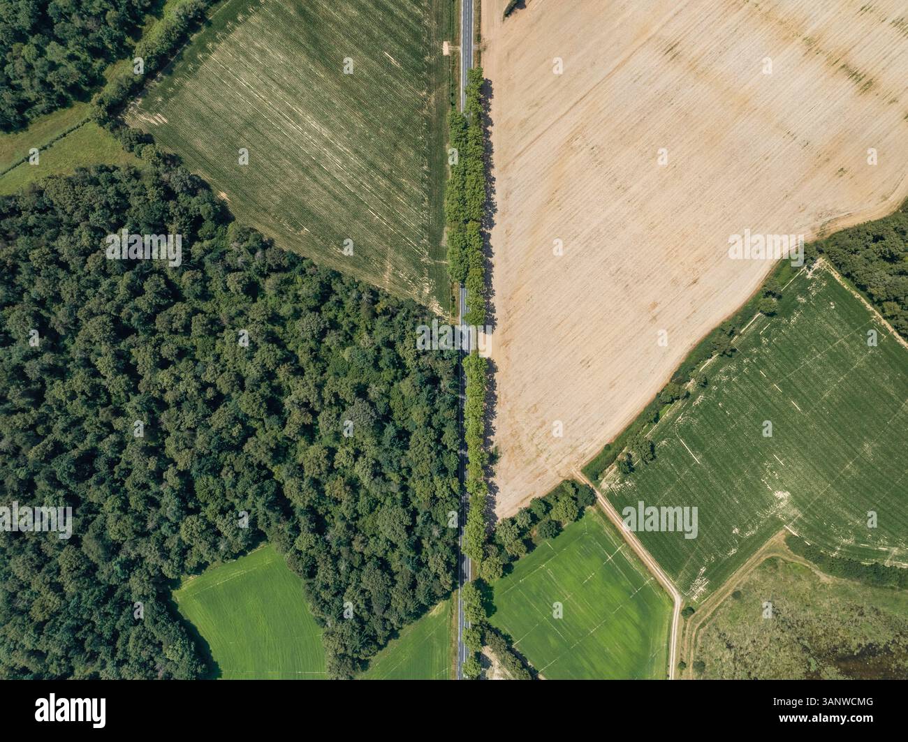 Aerial view of lush fields and dense forests with winding roads, Saint ...