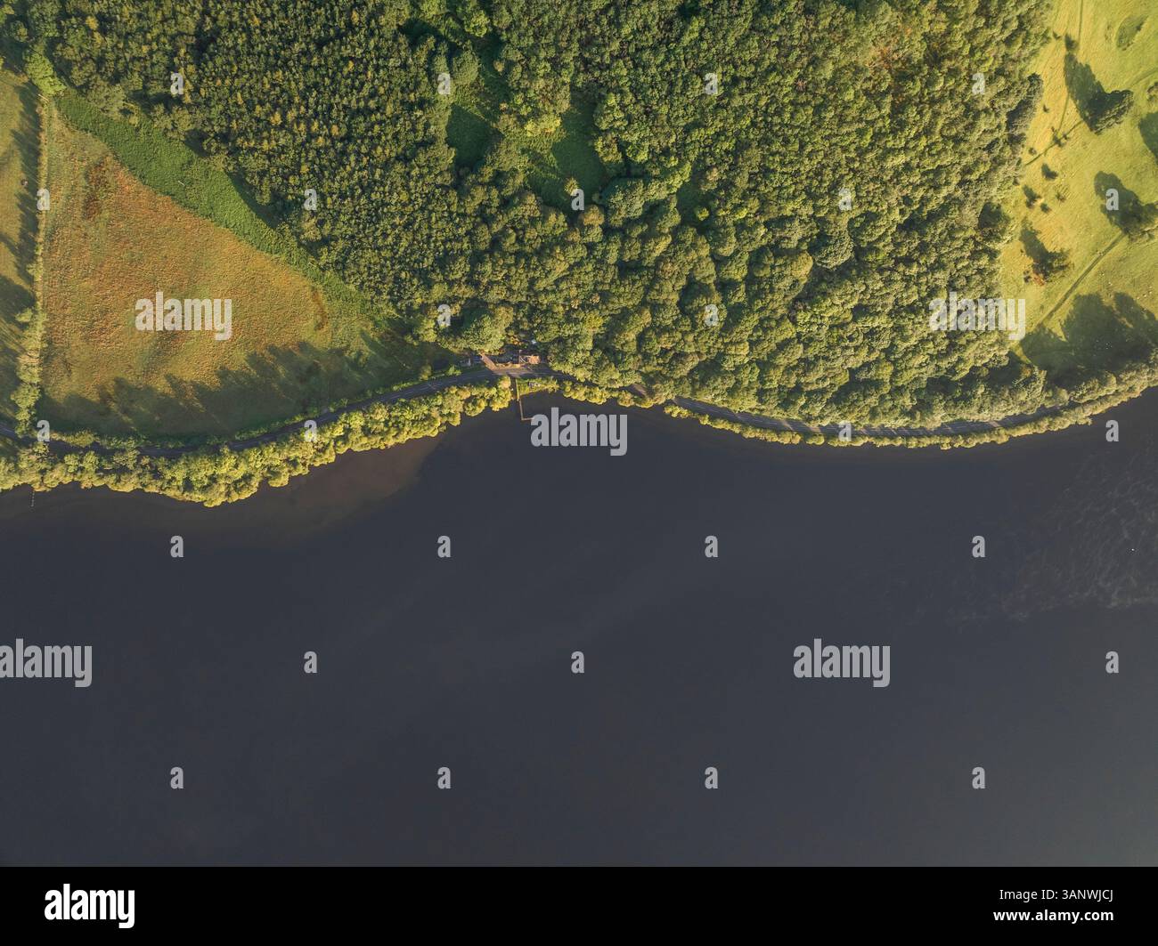 Aerial view of serene Ullswater lake surrounded by lush forests and ...