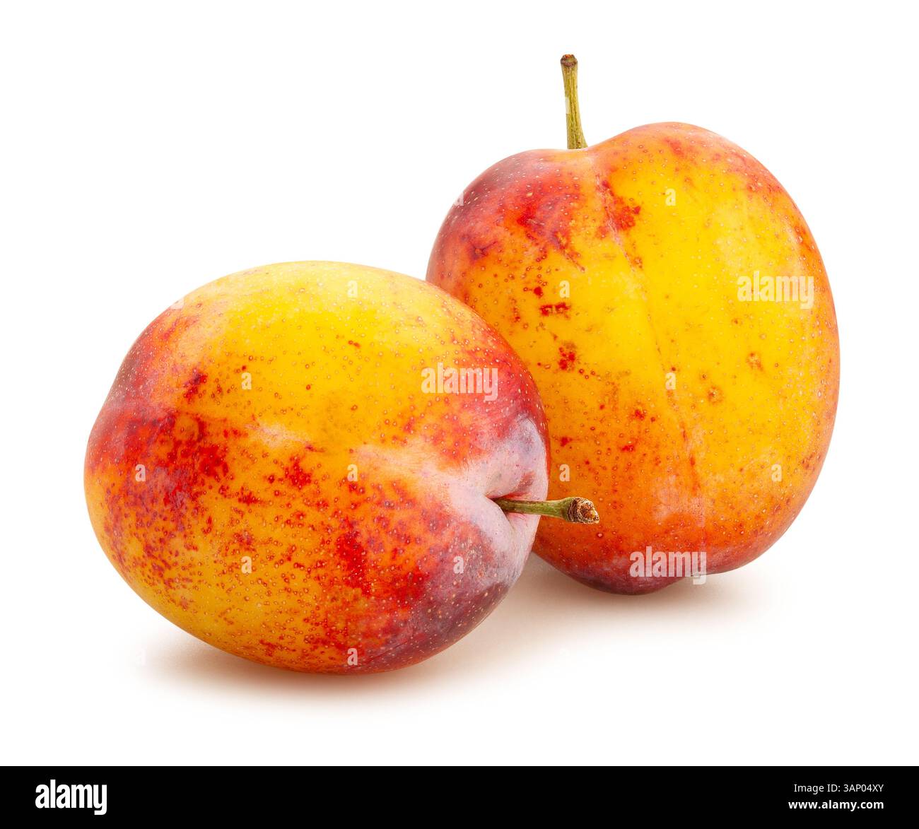 plum path isolated on white Stock Photo