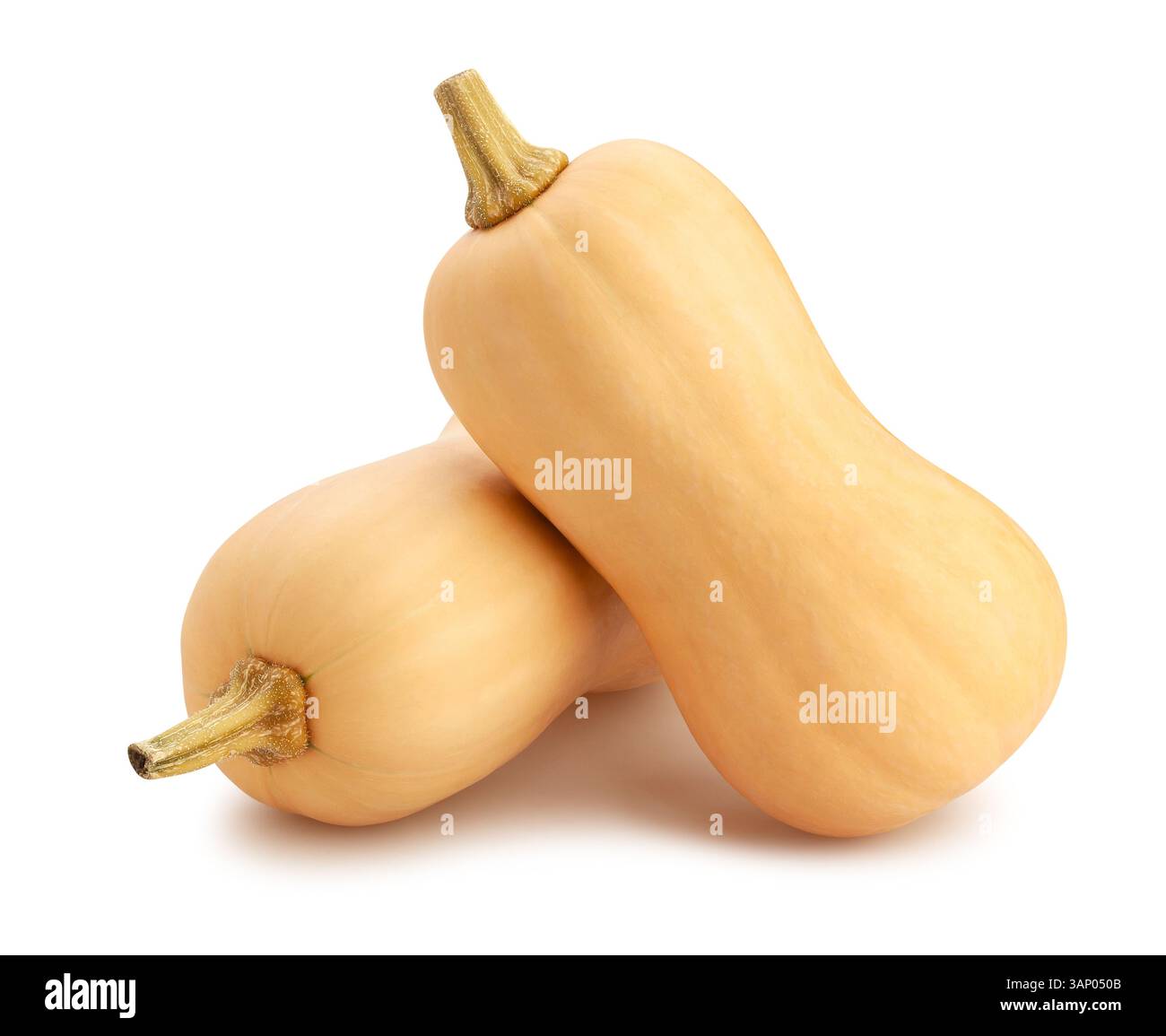 butternut path isolated on white Stock Photo
