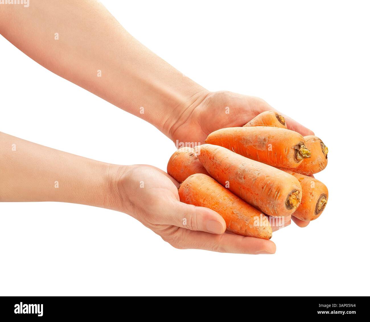 carrots in hand path isolated on white Stock Photo