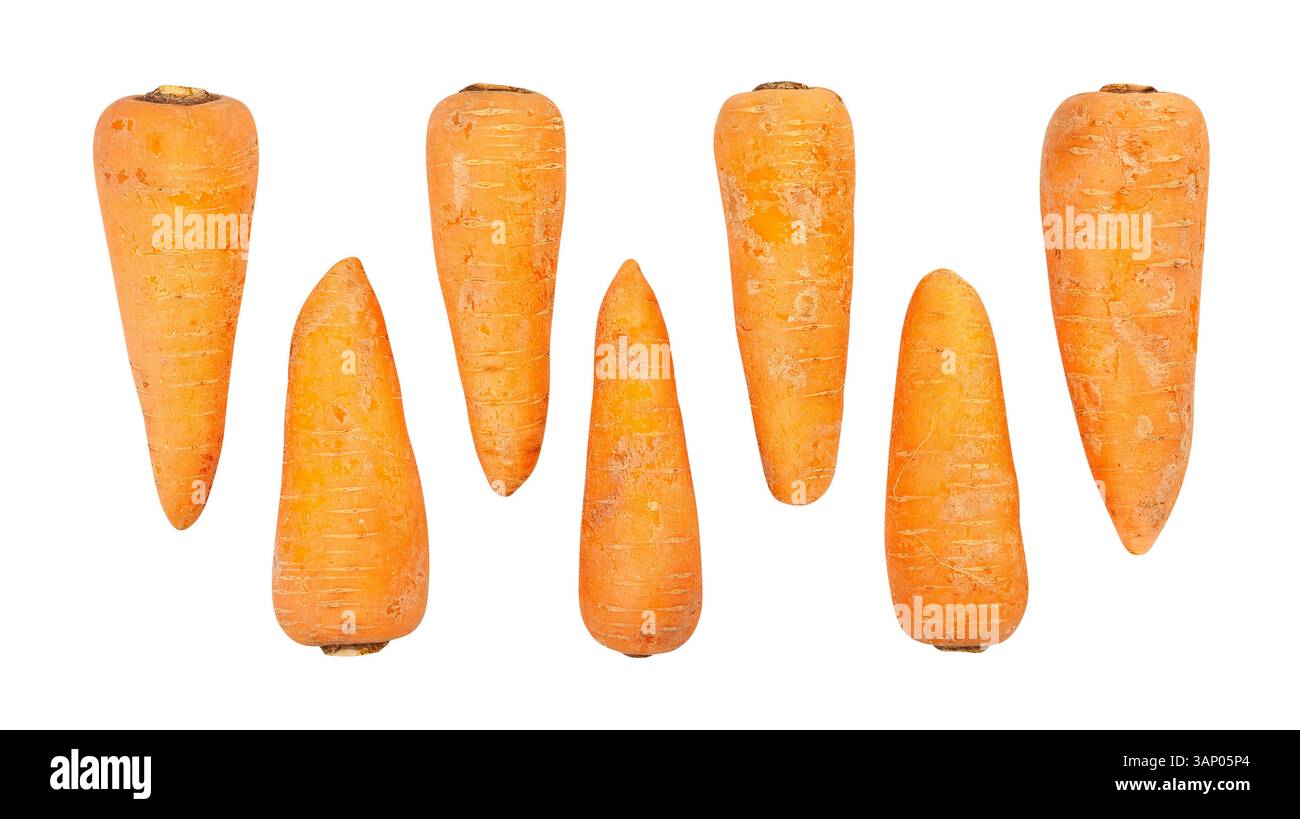 carrots path isolated on white Stock Photo
