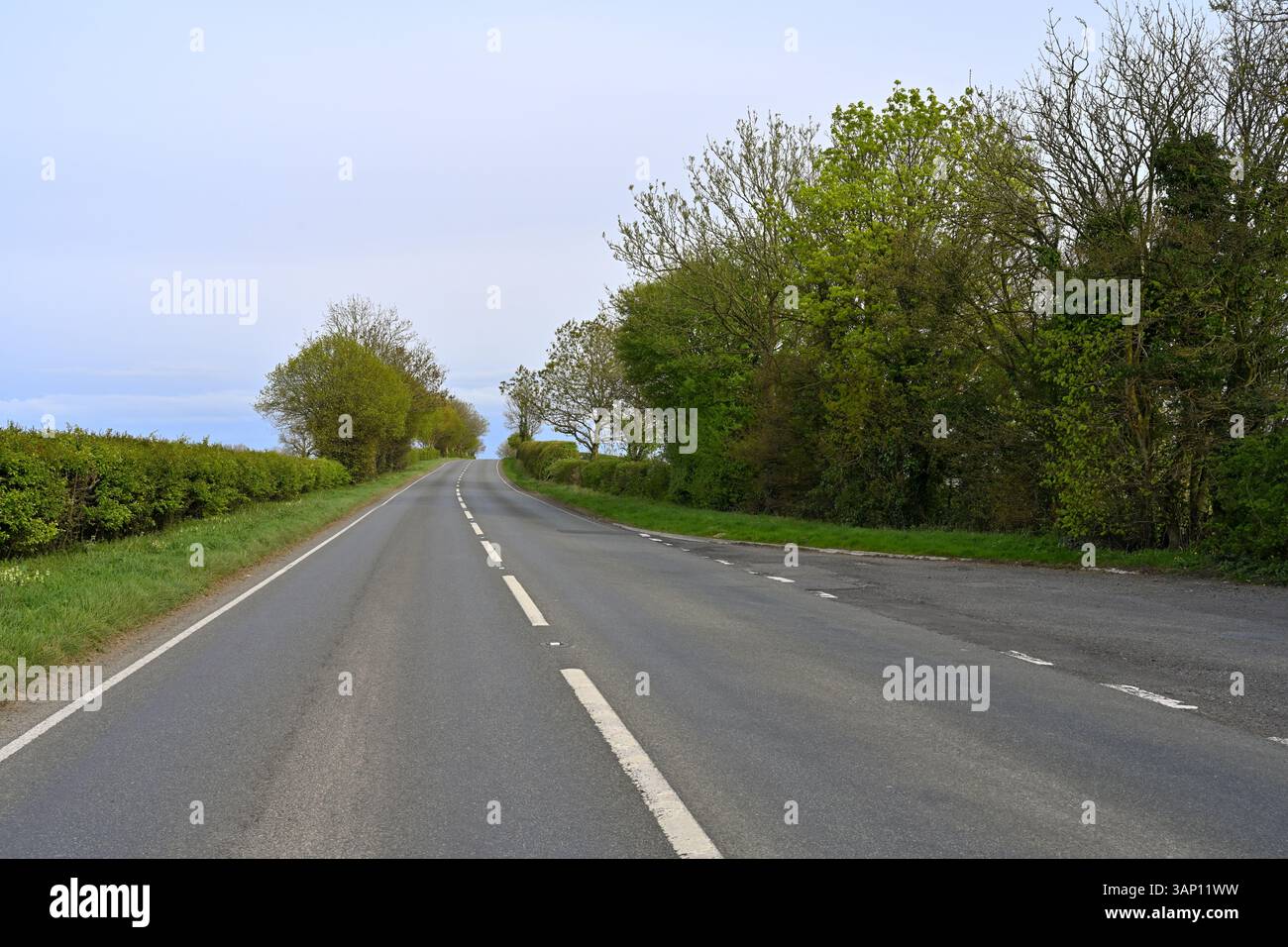 A361 country road going through Somerset countryside in early spring, UK Stock Photo