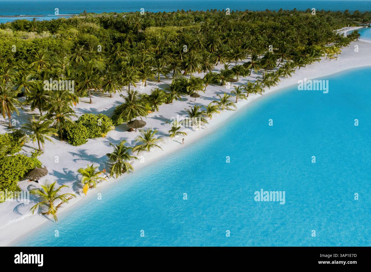 Aerial view of a person on a white sand beach with palm trees along the ...