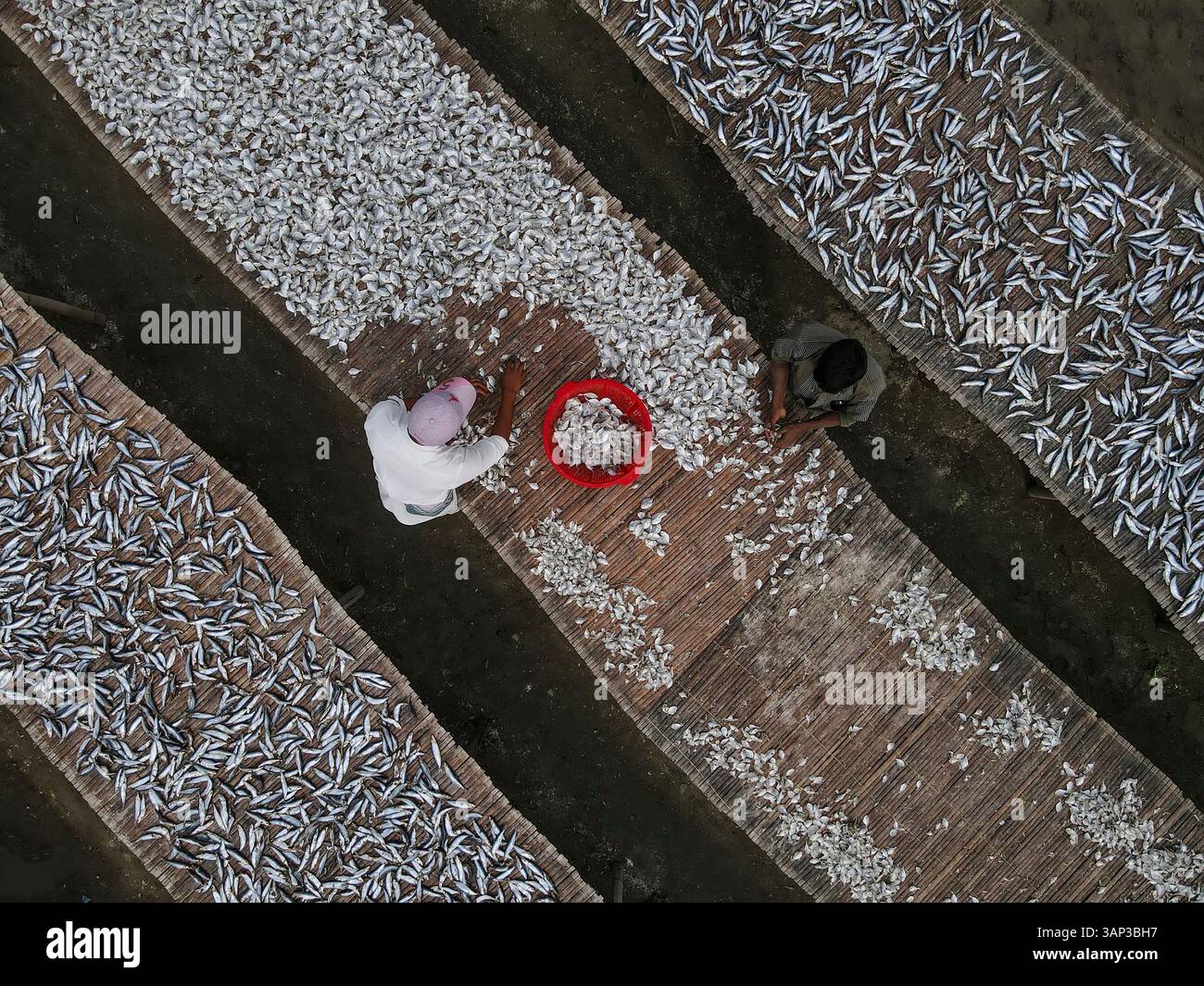 Aerial view of traditional fish processing with drying racks and people ...