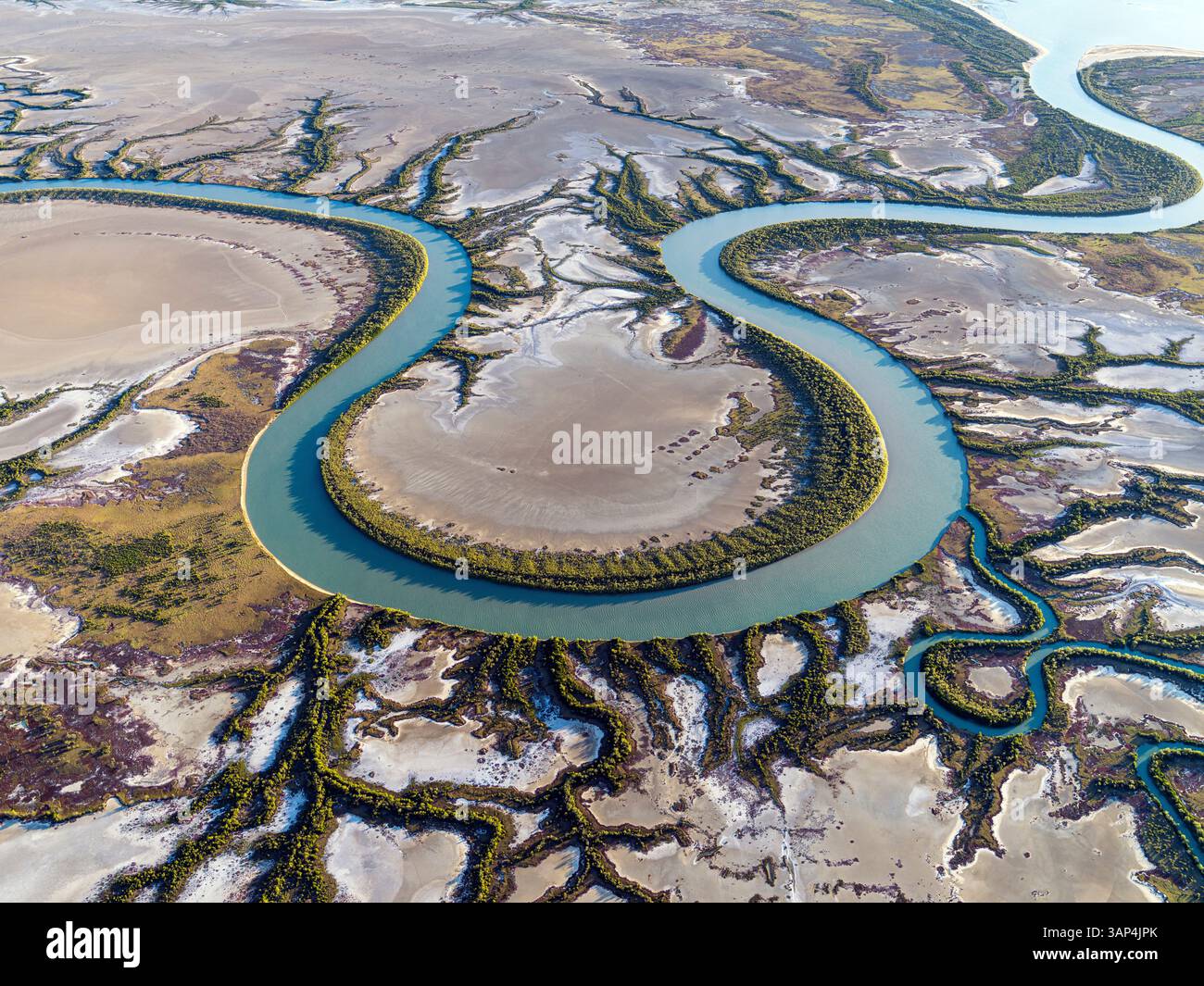 Aerial view of serpentine river winding through coastal wetlands and ...