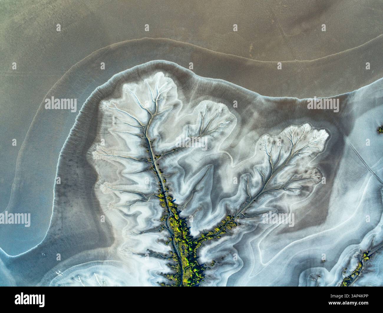 Aerial view of winding river patterns along King River, The Kimberley ...