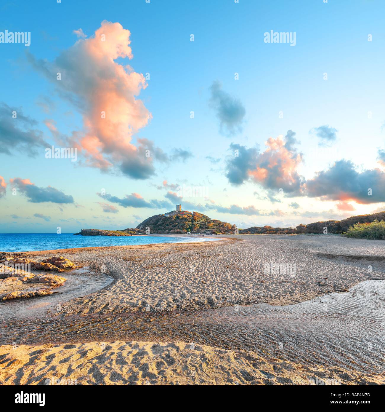 Bay chia hi-res stock photography and images - Page 3 - Alamy