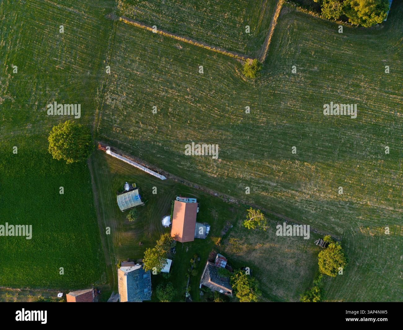 Aerial view of lush green fields and quaint homes in a peaceful rural ...
