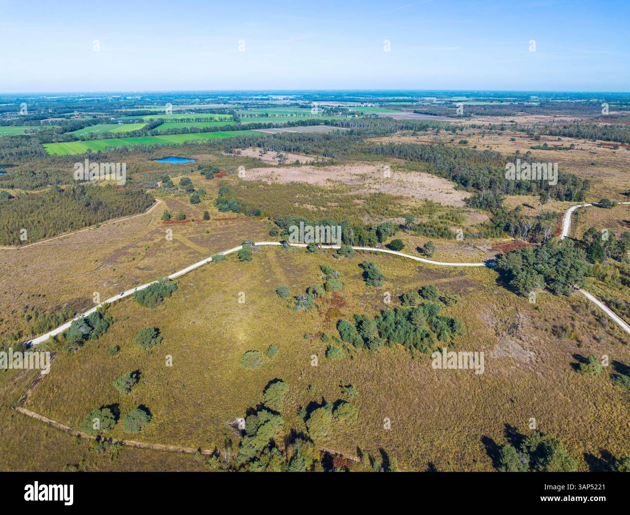Aerial view of peat bog, trees and walking paths in national park De ...