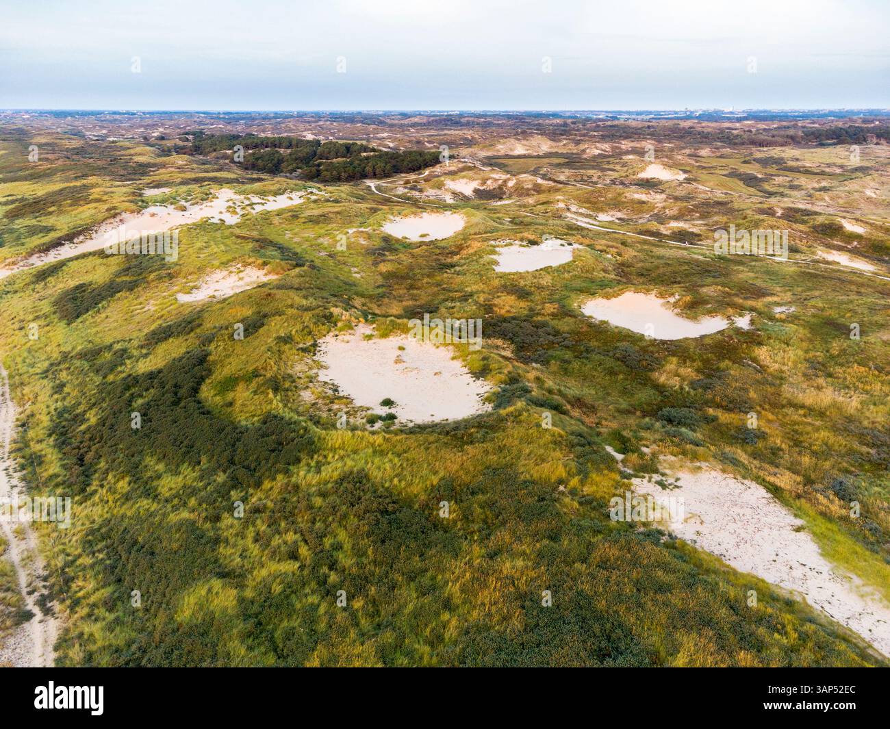 Dunes at the north sea coast hi-res stock photography and images - Alamy