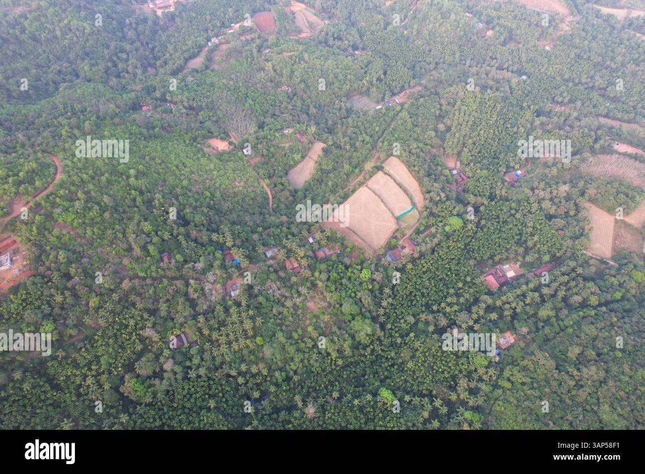 Kerala village scenery hi-res stock photography and images - Alamy