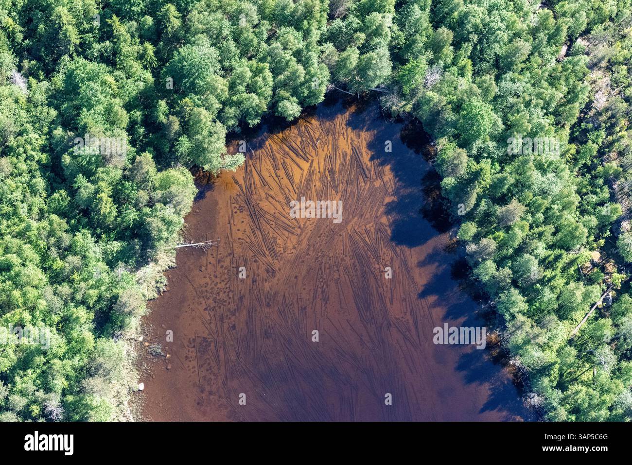 Aerial view of serene Lake Onega surrounded by lush forests and ...