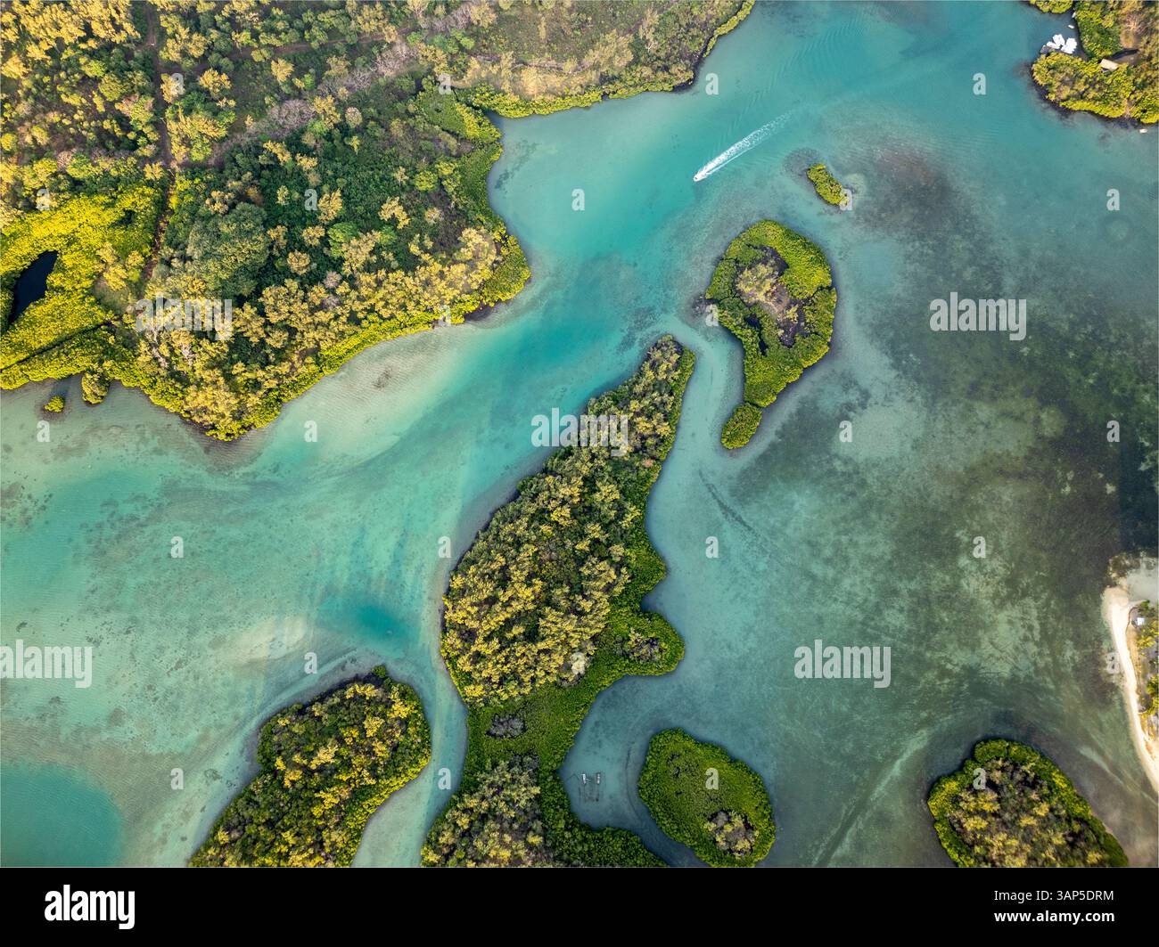 Aerial view of serene turquoise lagoon surrounded by lush green forest ...
