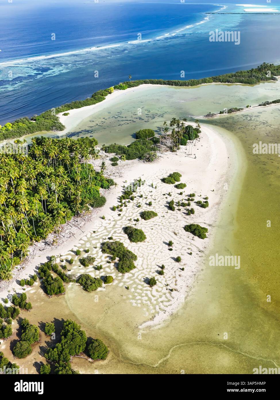 Aerial view of tropical paradise with palm trees, clear water, and lush ...